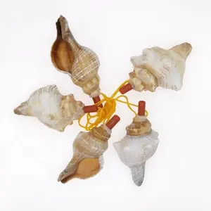 Hot Selling Natural Shell Conch Shell Whistle Decorative Home Decoration Shell Crafts Gifts Tourism Souvenirs Children's Toy