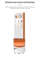 Robot Publicitario Móvil Inteligente Reeman con Pantalla OLED Transparente de 30 Pulgadas, Sistema Operativo Android, Montaje en Suelo, Wi-Fi Integrado, Señalización Digital