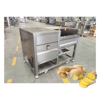 Industrie Cassave Knol Lotus Zaad Dunschiller Fruit En Groente Aardappel Wassen En Schilmachine