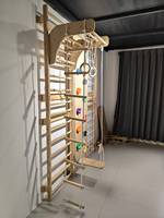Structure d'escalade intérieure 9 en 1 pour enfants et adultes, mur d'escalade en bois, échelle suédoise