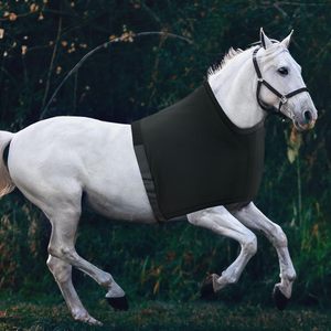 Chaleco elástico para caballo, negro, de licra, protector de pecho con correas para los hombros, para protección equina - Product Image 3