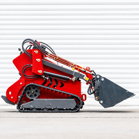 Mini-chargeuse compacte à deux cylindres, moteur homologué CE EPA, avec godet hydraulique pour travaux de jardinage, d'agriculture et d'aménagement paysager