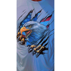 Magliette di marca Choppa Celtic Eagle (grigio) a maniche lunghe - Product Image 1