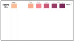 Hot sản phẩm của nhãn hiệu nhựa Ketone chẩn đoán nước tiểu kiểm tra Strips Kit thị giác Acuity kiểm tra bộ máy cho keton phát hiện - Product Image 4