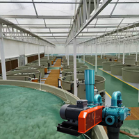 Souffleur à lobes électrique AC OEM 5HP 10HP 15HP à déplacement positif pour l'aération des étangs d'aquaculture (poissons et crevettes)