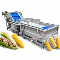 Chaîne de production de maïs sucré frais de haute qualité pour la cuisson et le traitement du maïs