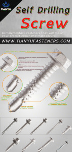 Vis autoperceuses à tête hexagonale Tianyu, tailles assorties # 8 à # 12 Fixations pour panneaux <span class=keywords><strong>de</strong></span> toiture et <span class=keywords><strong>de</strong></span> mur en métal - Product Image 5