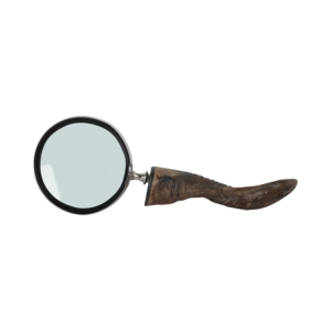 Lente d'ingrandimento con manico in corno di bufalo per decorazioni casa e ufficio - Product Image 5