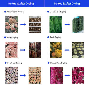 เครื่องอบแห้งแบบถาดสำหรับกะทิอุตสาหกรรมเชิงพาณิชย์ ระบบหมุนเวียนอากาศร้อน โครงสร้างสแตนเลส ความจุสูง 1000-1500 กิโลกรัม แบบแบทช์ - Product Image 6