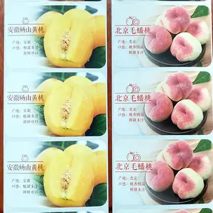 Etichette di fabbrica di fogli di etichette di frutta di alta qualità con stampa a colori