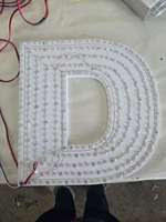 Tira de LED RGB Programable de 12V en Forma de S SMD5050 con Control Inteligente para Letreros Coloridos Personalizados