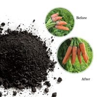 Ligne de production chinoise Compost à libération lente Engrais organique en poudre pour l'agriculture Pelouse à fleurs végétales