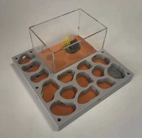 Fourmilière en acrylique transparent Yageli, nouveau design, avec aménagement paysager végétal, taille et logo personnalisables, prix usine