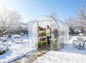 Cubierta de película de PE de un solo tramo, tienda de cultivo de crecimiento de plantas, invernadero, jardín, túnel pequeño galvanizado, Mini invernadero - Product Image 2
