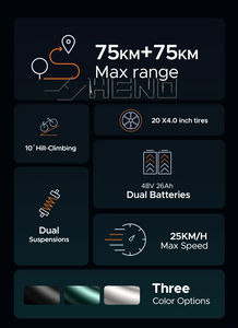 Bicicleta de Montaña Engwe M20, 48V13Ah 250W, Neumáticos Anchos, Estilo Moped, Bicicleta Eléctrica, Envío Directo desde Almacén en EE. UU. y Europa - Product Image 5