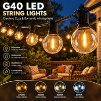 Guirlandes lumineuses LED vintage G40, étanches IP44, ampoules globe à culot E12, décoration de jardin extérieure, lumières de fête