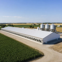 Poulailler et bâtiment d'élevage en structure acier, design ferme, avec certification CE et garantie 1 an