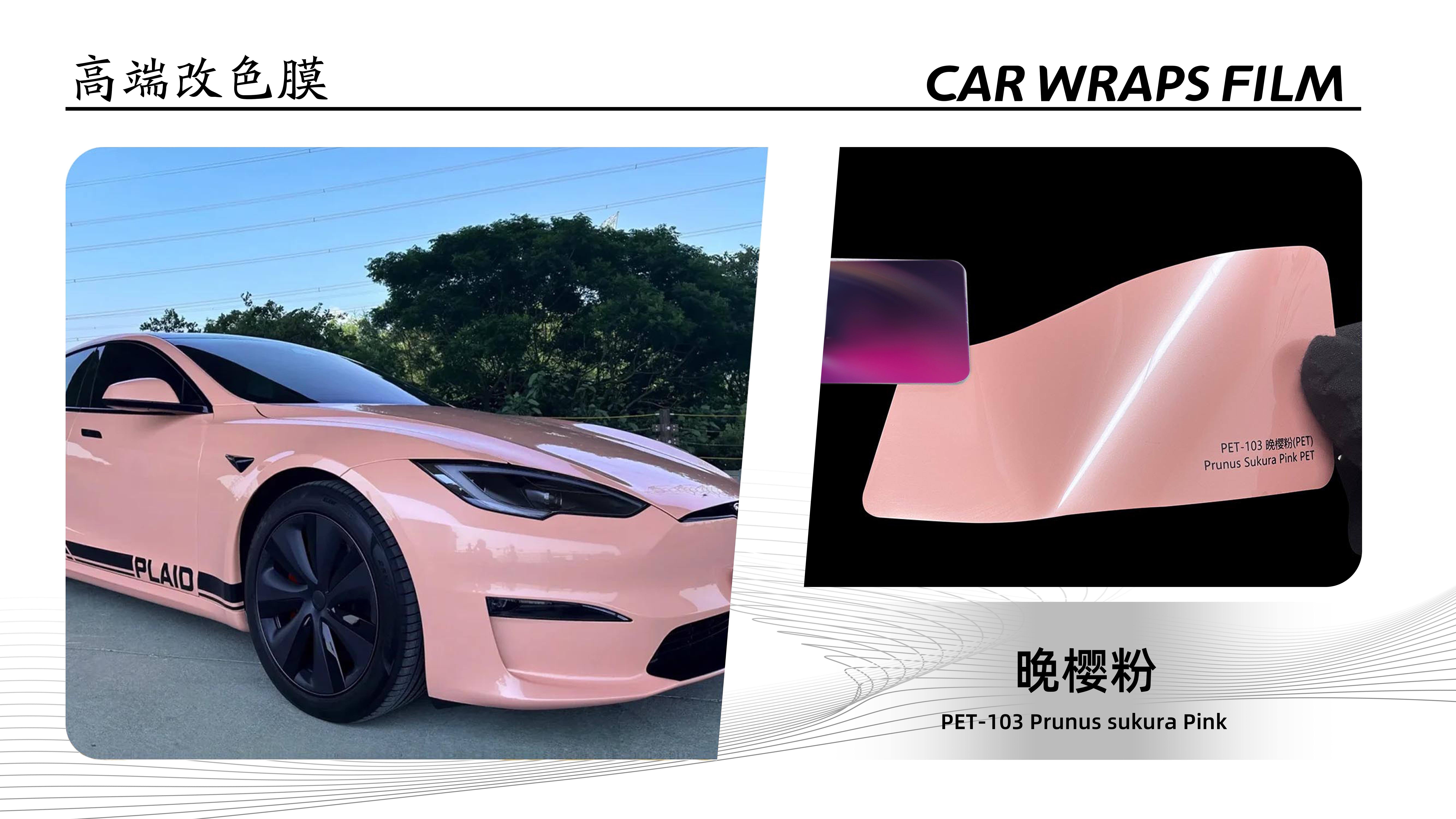 PET-103 Prunus Sukura Pink