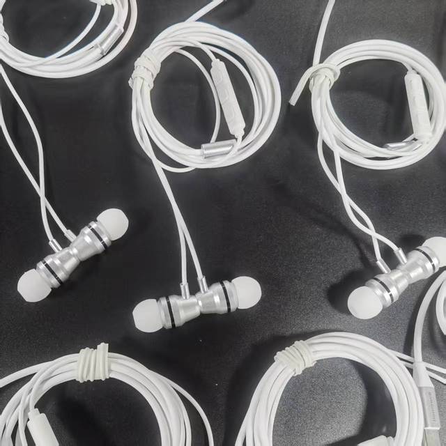 High Quality Type-C Metal Wired Earbuds with Active Noise Cancellation AAC Codecs Custom Fit IPX-9 Waterproof