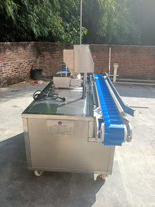 Máquina Multifuncional para Rellenar Pan y Pasteles con Crema, Máquina para Hacer Pan y Rellenar Rollos <span class=keywords><strong>de</strong></span> Huevo a Precio Económico - Product Image 5
