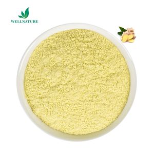 Hochwertiges wasser lösliches Ingwersaft-Extrakt pulver Organisches Ingwer pulver Instant-Ingwer pulver - Product Image 3