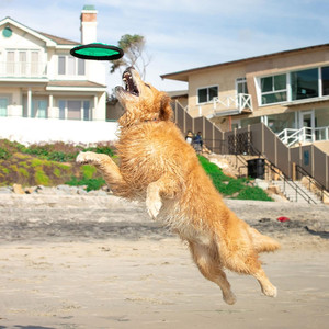 Juguete Interactivo de Nylon Ecológico Premium R-1020, Flippy <span class=keywords><strong>Flopper</strong></span>, para Animales Pequeños - Product Image 5