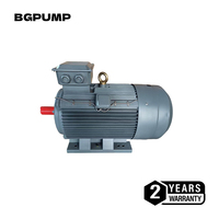 Moteur asynchrone monophasé/triphasé AC 220V/380V 50Hz/60Hz IP55 OEM, boîtier en fonte, enroulement en cuivre