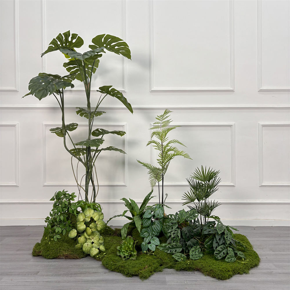 docteur général017