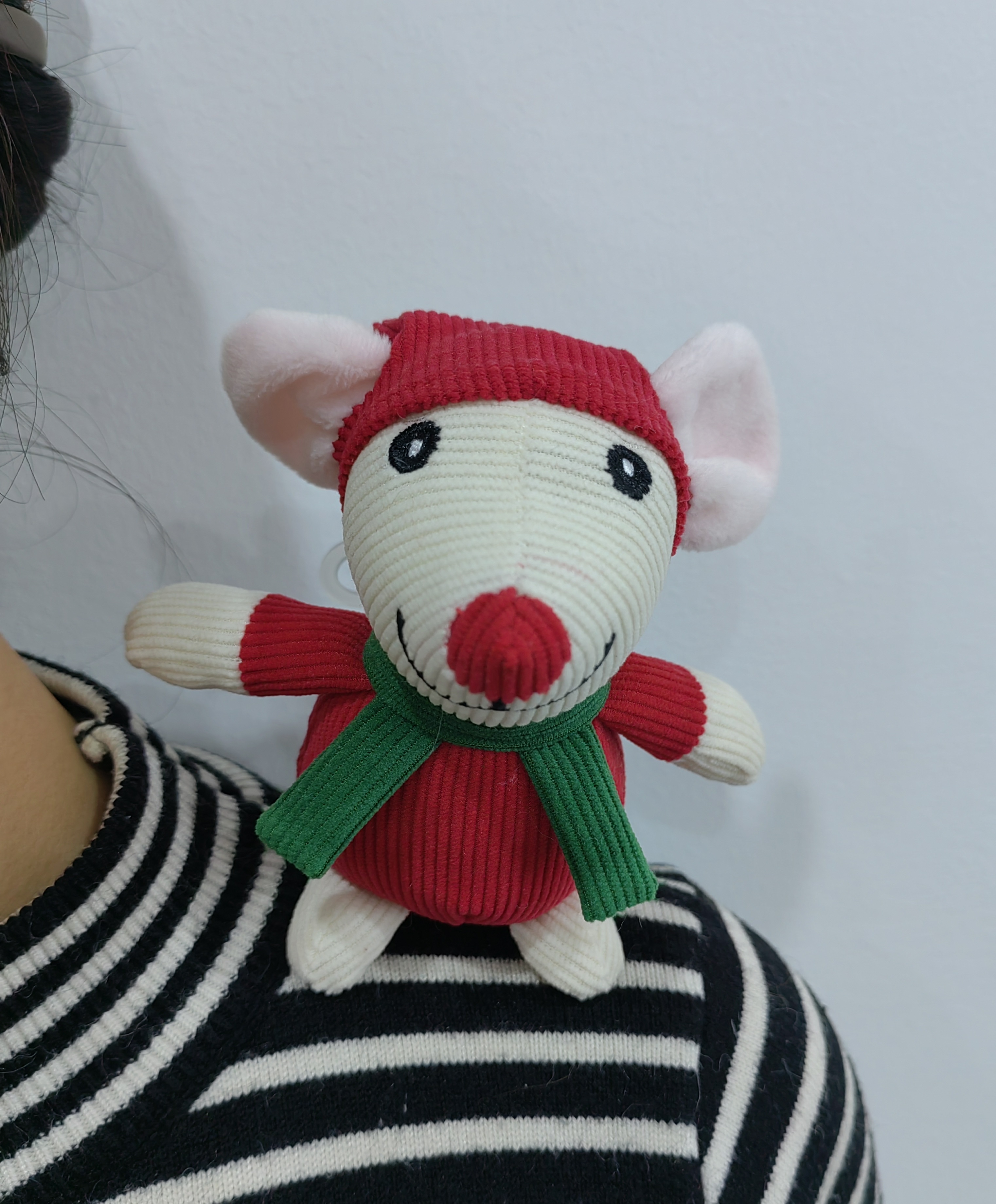 ratón