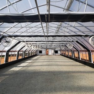 Serra con Oscuramento Automatico al 100% per il Mercato USA - Design Resistente alle Intemperie Adattato ai Climi Statunitensi - Product Image 3