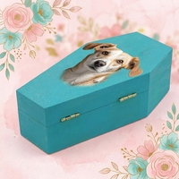 Caja Funeraria para Mascotas, Ataúd de Madera Maciza para Perros, Gatos y Pájaros, Impresión UV Personalizada con Nombre, Recuerdo Conmemorativo