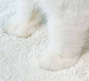 Meowcutie Natural Plant-Based <span class=keywords><strong>Cat</strong></span> Litter Bulk Lavanda Perfumado Clumping <span class=keywords><strong>Cat</strong></span> Areia com Milho Cob Fibra Amido De Milho Flushable - Product Image 1