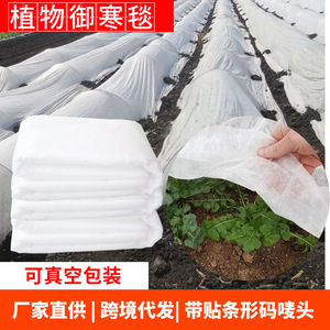 Manta Protectora para Plantas de Tela No Tejida Chengye, 1.5x5m 2x10m, Protección Contra Heladas, Frío y Rayos UV, Cubierta para Jardín - Product Image 5