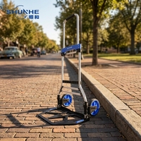 Chariot à bagages fermé robuste avec capacité de charge de 100 kg, roues de 7 pouces, utilisation industrielle et commerciale, personnalisable OEM