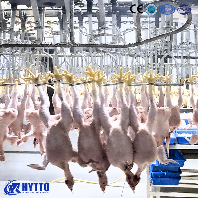 Large Manufacture Automatic Slaughtering Line Equipment for Chicken Slaughterhouse Line Labor Saving 5000 Birds Per Hour