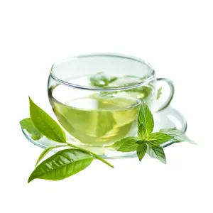 Polvo de extracto de polifenoles de té verde orgánico ODM OEM/jazmín/hojas de té verde secas