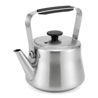 Bouilloire à thé portable en acier inoxydable brossé mat 1,5/2/3L, sans sifflet, avec poignée froide au toucher, pour cuisinières à induction et à gaz