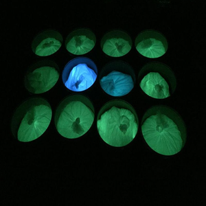 Poudre phosphorescente Additif Résine Époxy <span class=keywords><strong>Couleur</strong></span> Rose Vert Bleu Colorants Pigments Lumineux pour DIY Slime - Product Image 4