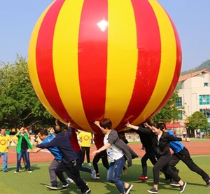 Jeux gonflables géants extérieurs de sport de teambuilding de ballons gonflables de PVC <span class=keywords><strong>pour</strong></span> des adultes - Product Image 6