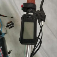 Vélo électrique en alliage d'aluminium de style européen avec pneu de 4,0 [FP-EB-LMT19002]