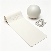 COMANA Vente en gros, accessoires de Pilates complets avec logo personnalisé, bracelet en silicone, poids de main, Power Ring, ensemble de Pilates pour la remise en forme à domicile