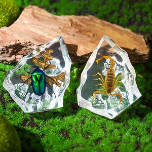 Mát Phong Cách Acrylic Bảng Trang Trí Taxidermy Côn Trùng Động Vật Nhựa Khối Bất Bug Mẫu Vật Nhúng Lucite Halloween - Product Image 6