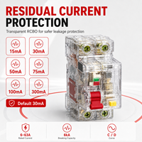 Disjoncteur différentiel transparent DZ47TRLES RCBO 1P+N 2P 3P 3P+N 4P 6A-63A 230V 400V 6kA 15-300mA Courbe C D