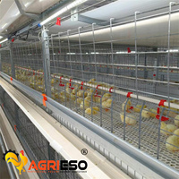 Cage à poules automatique Agrieso de type H pour l'alimentation et l'abreuvement, galvanisée à chaud, équipement d'alimentation pour poules pondeuses