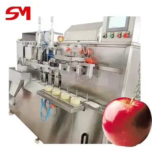 Espiral elétrica econômica e prática equipamento Apple Peeler Corer Peeling Machine