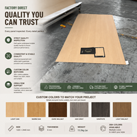 Panneau de protection murale moderne ignifuge et imperméable en cristal de carbone de 8 mm pour couloir d'hôpital et bâtiment commercial