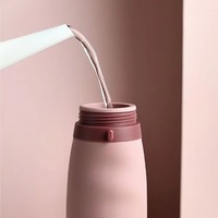 Bouteilles d'eau en silicone pliables et portables de 600 ml, écologiques, sans BPA, pour le sport, la gym, les voyages et les activités de plein air