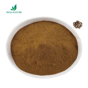 High Quality Magnolia Bark Extract 5% Honokiol Supplier Magnolia Kobus Bark Extract