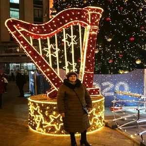 3D Instrument Motif Light for Concert Themes Christmas Events Commercial Spaces and Nighttime Decoration - Product Image 5