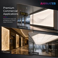 Feuille LED CCT découpable RAYMATES 24V 484 LED, feuille de lumière blanche flexible et réglable, panneau LED ultra-fin pour l'éclairage architectural